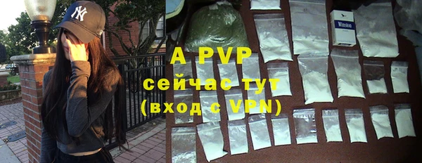 ПСИЛОЦИБИНОВЫЕ ГРИБЫ Няндома